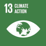 13-climate-action