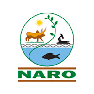 naro